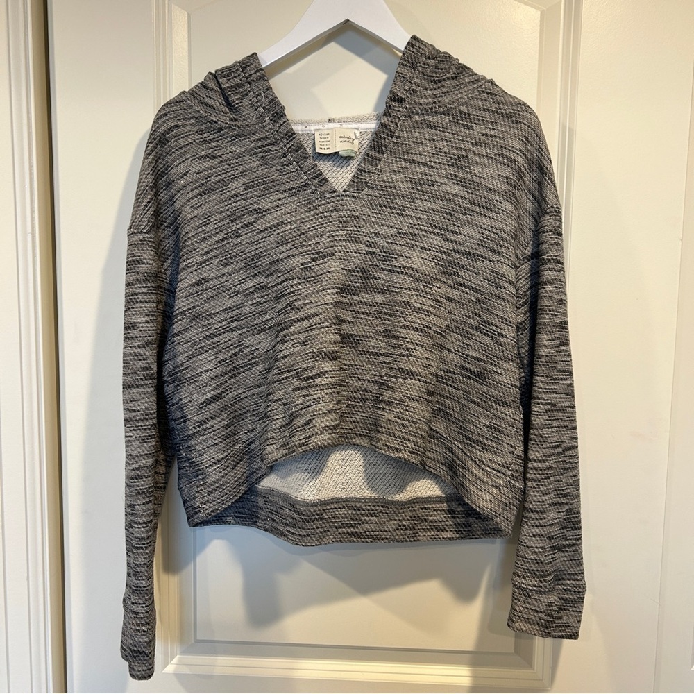 Anthropologie Saturday Sunday Gray Sparkled Cropped Hoodie - Large